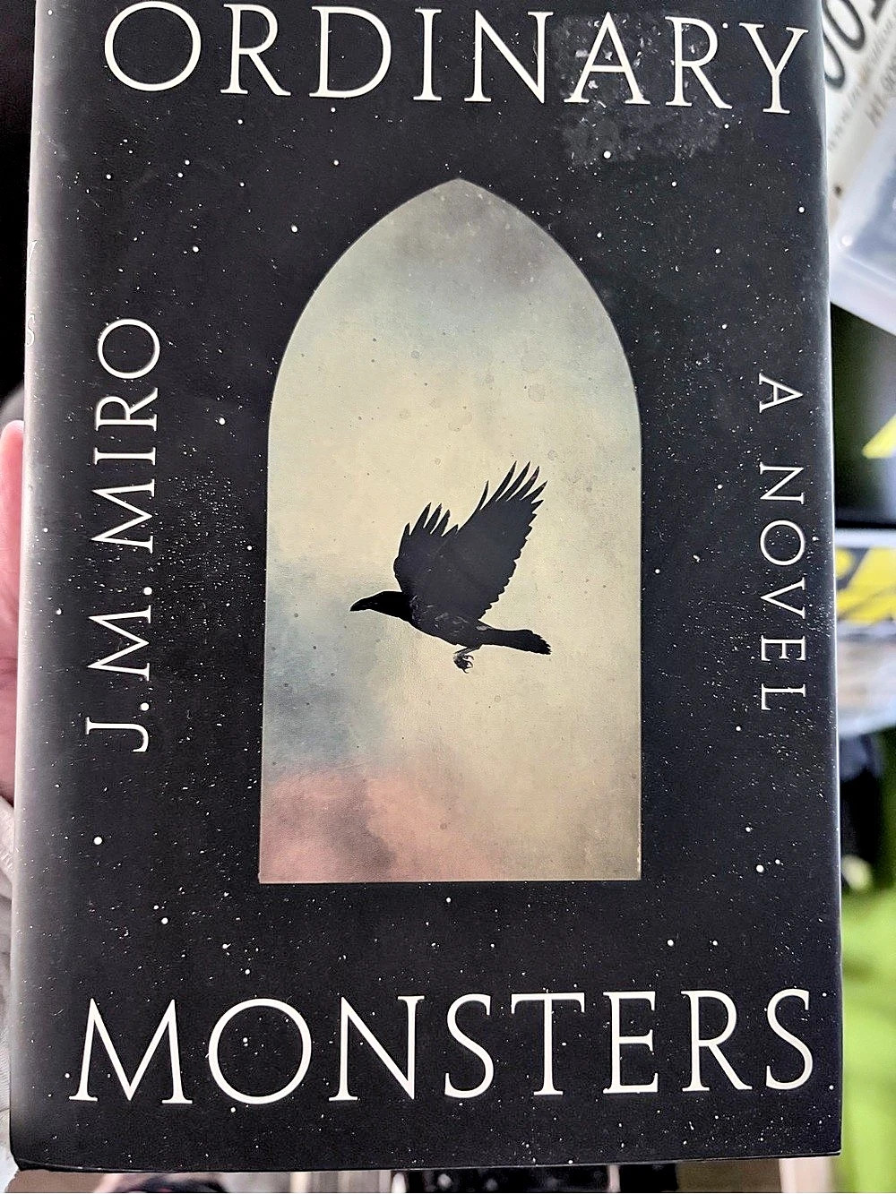 Ordinary Monsters J.M. Miro Hardcover Novel